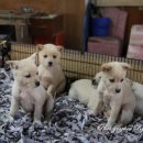 제주시민속오일시장 이미지