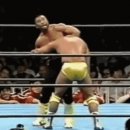 엘브레인 이미지