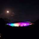 달빛바라기 이미지