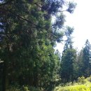 곽지올레 이미지