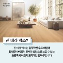 테라맥스 이미지