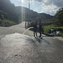 용수 경남매일