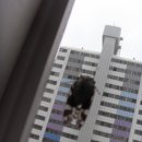 다크라이트