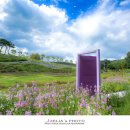 천년의 정원 이미지