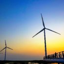 동국태양광발전소 이미지