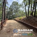 하늘 해담 이미지