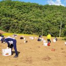 우보면 행정복지센터 이미지