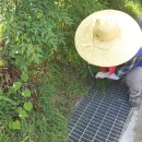 봉곡 운동장 이미지