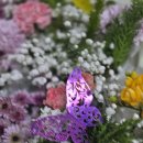 동안산병원 이미지