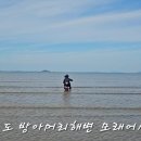 [241009] 대부도 - 경기/안산 이미지