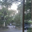 법성포뉴타운 2지구 | [나홀로 시드니 2] 페더테일 오픈런과 뉴타운 방황...그리고 공원에서 392011번 눕기