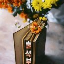 🌸🌸26年8月3日(월)출석부 이미지