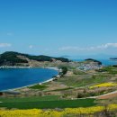 청보리밭 일렁이는 슬로시티 섬, 증도, 청산도, 미황사 이미지