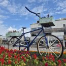 화성문고 이미지