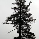 마천면사무소 이미지