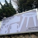 로컬스티치노량진