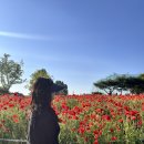 디케이(DK)안경 | 일상기록은 몰아써야 제맛, 졔의 6월 1-2주 일상기록😆