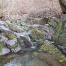 물푸레공인중개사사무소 이미지