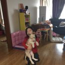 멍이랑몽이 미용 이미지