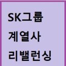 SK머티리얼즈 에어플러스(주) 이미지