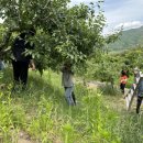 부계면 행정복지센터 이미지