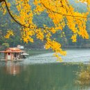 입큰붕어낚시카페 이미지