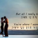 (I&#39;ll) Always Remember Us This Way (나는 항상 우리를 이렇게 기억 할 거야) 이미지