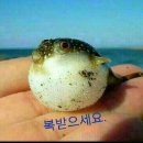디자인감 이미지
