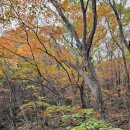 제눈에 안경 이미지