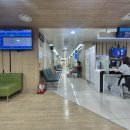 햇빛병원에서 서울대학교병원 산부인과 전원 필수서류 외래진료 후기