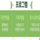 서울숲유아숲체험장 네이버블로그