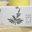 발효약초 | 커피 끊고 찾은 무카페인 차! 약초밭아낙네 어린잎 개똥쑥 수제발효차 내돈내산 후기