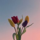 조은피씨방 이미지