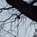 나이스부분정비 이미지