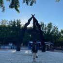 디마떼오 티스토리