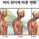 라진틔움