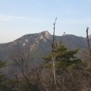 주식회사 민투어 네이버블로그