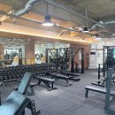 369피트니스 이미지