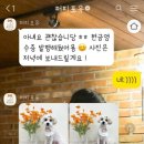 퍼피포유 이미지