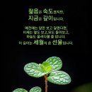 건강한오늘