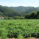 강림면우체국 이미지