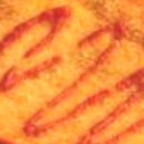 연도식당 이미지