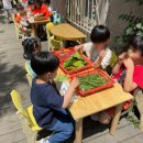 시냇가 푸른나무 유치원 이미지