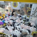 핑미핑미 인형뽑기 이미지