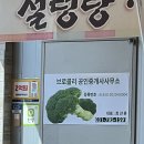 브로콜리공인중개사사무소 이미지