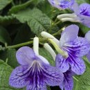 전라남도학생교육문화회관 본관 | 정책지식 2026.2.24.