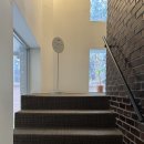 함께 커피 | [춘천 맛집] 귀여운 고양이가 함께 있는 톰 커피바 후기☕