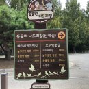 카오스게임장 이미지