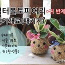 미양초교병설유치원 이미지