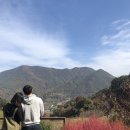 홍계곡민박 이미지